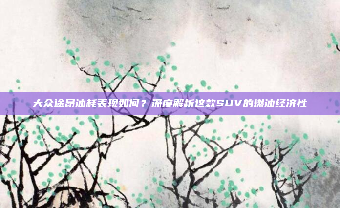 大众途昂油耗表现如何?深度解析这款SUV的燃油经济性
