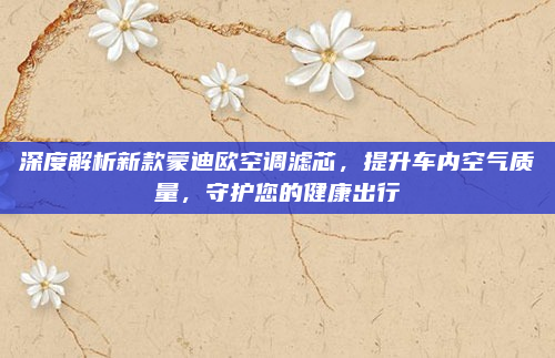 深度解析新款蒙迪欧空调滤芯,提升车内空气质量,守护您的健康出行