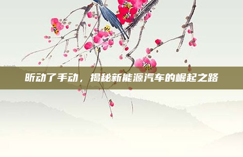昕动了手动,揭秘新能源汽车的崛起之路