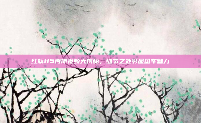红旗H5内饰视频大揭秘,细节之处彰显国车魅力
