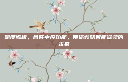 深度解析,肖客中控功能,带你领略智能驾驶的未来
