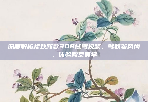 深度解析标致新款308试驾视频,驾驭新风尚,体验欧系美学