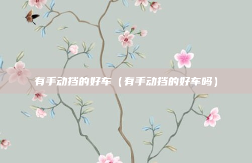 有手动挡的好车（有手动挡的好车吗）
