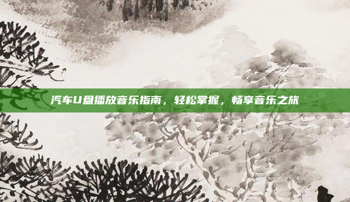 汽车U盘播放音乐指南，轻松掌握，畅享音乐之旅