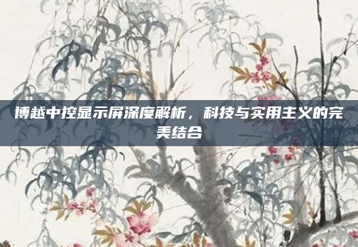 博越中控显示屏深度解析，科技与实用主义的完美结合