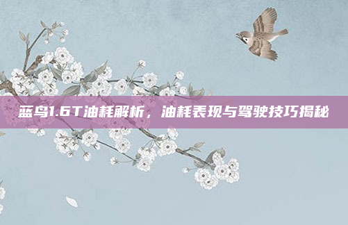 蓝鸟1.6T油耗解析，油耗表现与驾驶技巧揭秘