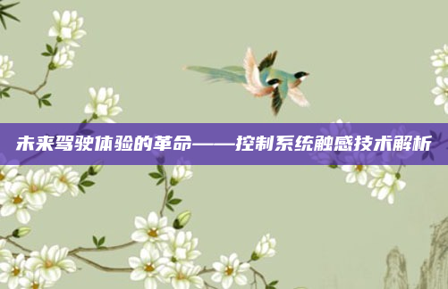 未来驾驶体验的革命——控制系统触感技术解析