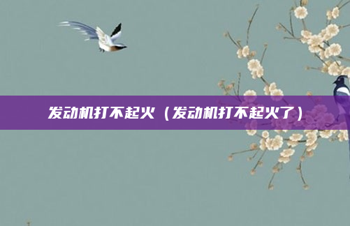 发动机打不起火（发动机打不起火了）