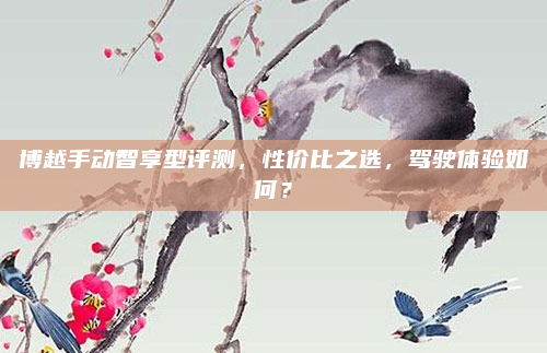 博越手动智享型评测,性价比之选,驾驶体验如何?