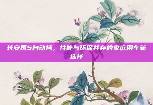 长安国5自动挡，性能与环保并存的家庭用车新选择
