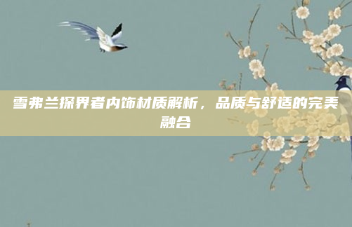 雪弗兰探界者内饰材质解析，品质与舒适的完美融合