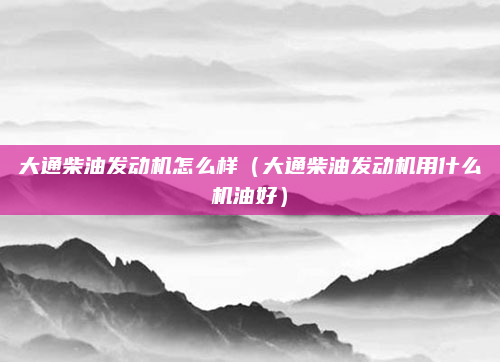 大通柴油发动机怎么样(大通柴油发动机用什么机油好)