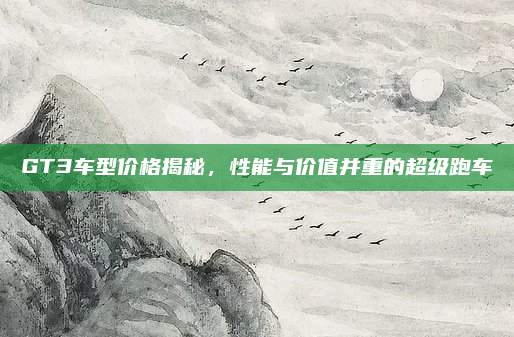 GT3车型价格揭秘，性能与价值并重的超级跑车