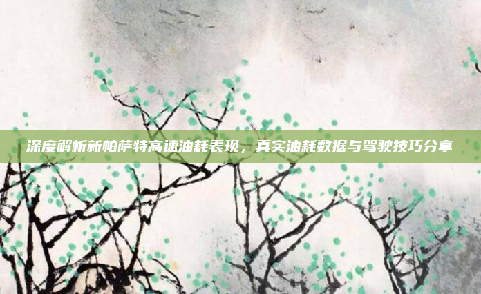 深度解析新帕萨特高速油耗表现，真实油耗数据与驾驶技巧分享
