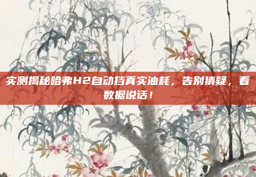 实测揭秘哈弗H2自动挡真实油耗，告别猜疑，看数据说话！