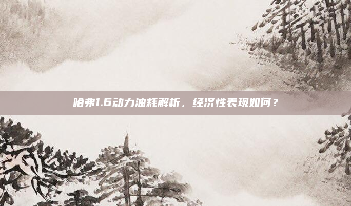 哈弗1.6动力油耗解析，经济性表现如何？