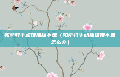 帕萨特手动挡挂档不走(帕萨特手动挡挂档不走怎么办)