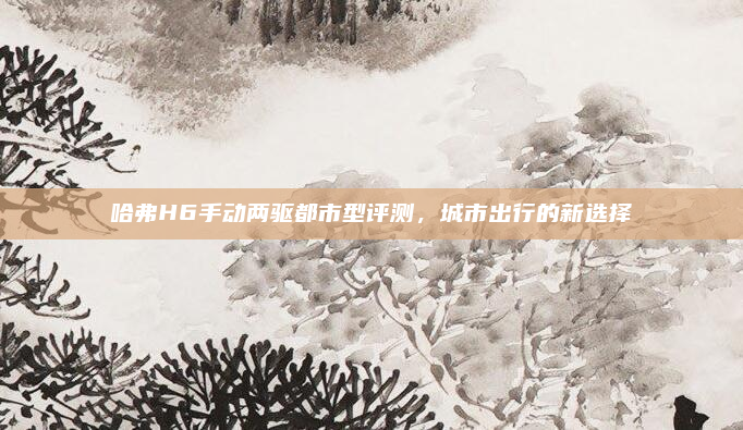 哈弗H6手动两驱都市型评测,城市出行的新选择