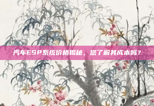 汽车ESP系统价格揭秘,您了解其成本吗?