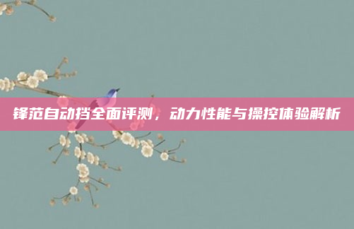 锋范自动挡全面评测,动力性能与操控体验解析