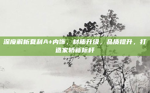 深度解析夏利A+内饰，材质升级，品质提升，打造家轿新标杆