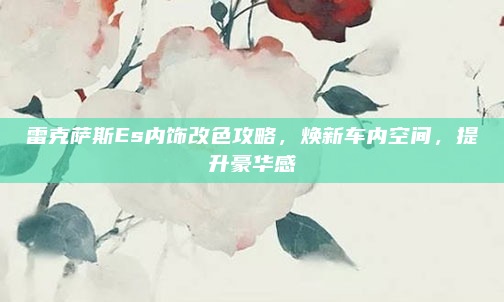 雷克萨斯Es内饰改色攻略,焕新车内空间,提升豪华感