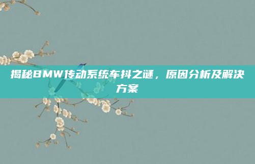 揭秘BMW传动系统车抖之谜,原因分析及解决方案