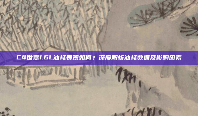 C4世嘉1.6L油耗表现如何?深度解析油耗数据及影响因素