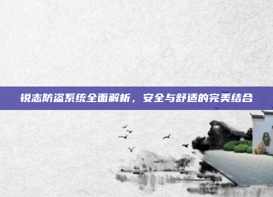 锐志防盗系统全面解析,安全与舒适的完美结合