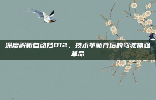 深度解析自动挡D12，技术革新背后的驾驶体验革命