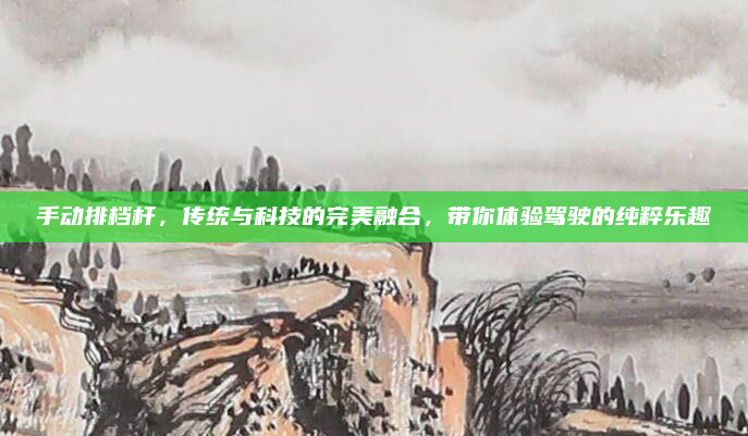 手动排档杆，传统与科技的完美融合，带你体验驾驶的纯粹乐趣