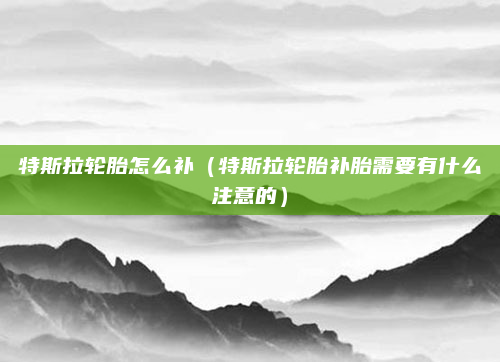 特斯拉轮胎怎么补（特斯拉轮胎补胎需要有什么注意的）