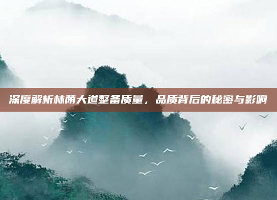 深度解析林荫大道整备质量,品质背后的秘密与影响