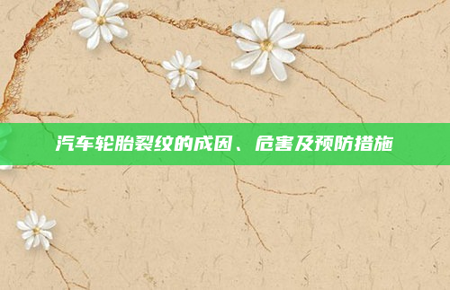 汽车轮胎裂纹的成因、危害及预防措施