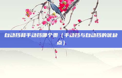 自动挡和手动挡哪个贵（手动挡与自动挡的优缺点）