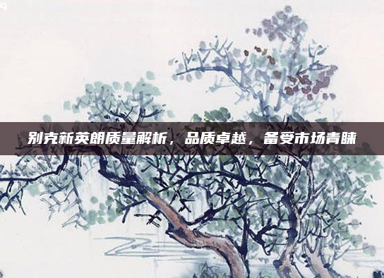 别克新英朗质量解析,品质卓越,备受市场青睐