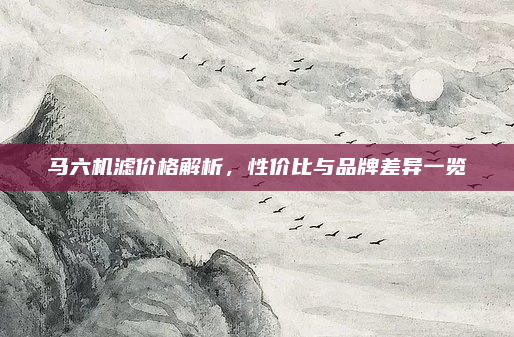 马六机滤价格解析,性价比与品牌差异一览