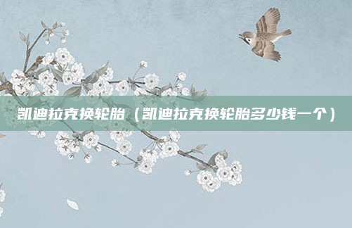 凯迪拉克换轮胎（凯迪拉克换轮胎多少钱一个）