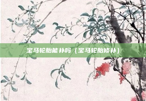 宝马轮胎能补吗（宝马轮胎修补）