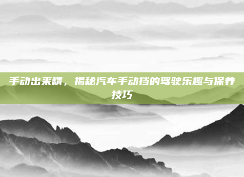 手动出来精,揭秘汽车手动挡的驾驶乐趣与保养技巧