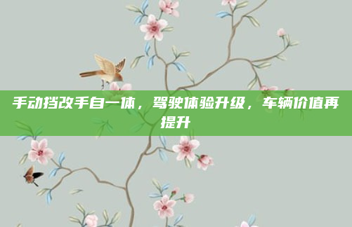 手动挡改手自一体,驾驶体验升级,车辆价值再提升