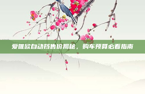 爱唯欧自动挡售价揭秘，购车预算必看指南