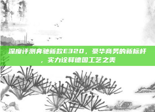 深度评测奔驰新款E320,豪华商务的新标杆,实力诠释德国工艺之美