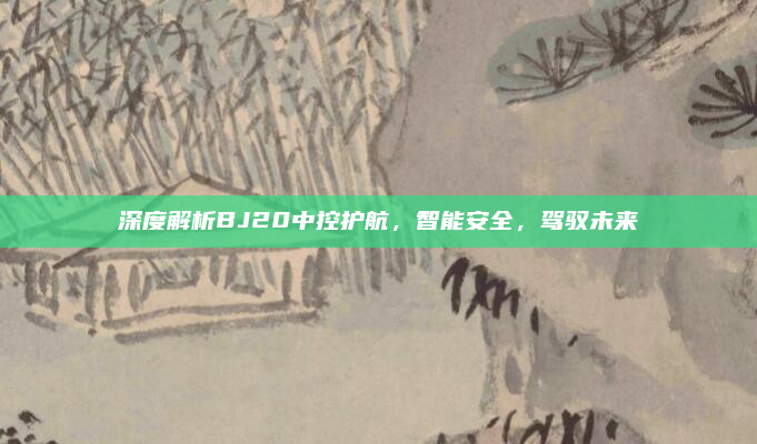 深度解析BJ20中控护航,智能安全,驾驭未来