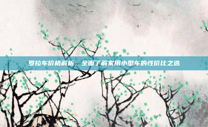 罗拉车价格解析，全面了解家用小型车的性价比之选