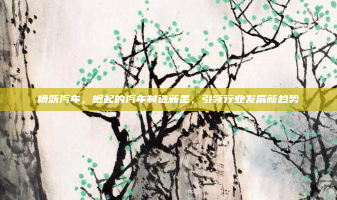 横沥汽车,崛起的汽车制造新星,引领行业发展新趋势