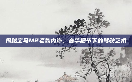 揭秘宝马M2老款内饰,奢华细节下的驾驶艺术