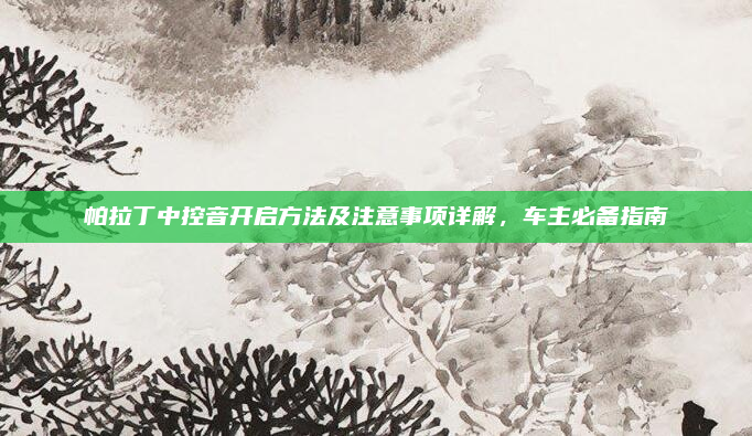 帕拉丁中控音开启方法及注意事项详解，车主必备指南