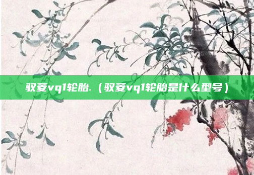 驭菱vq1轮胎.（驭菱vq1轮胎是什么型号）