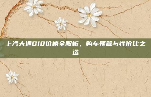 上汽大通G10价格全解析，购车预算与性价比之选